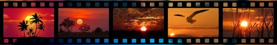 �y�����Ŋς�f��E�h���}�z����\�ጴ���i����C������