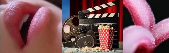 ���l�f��y�����Ō�����z�؍��Z�N�V�[���D��