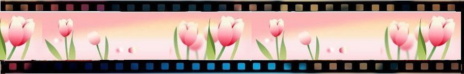 ���q�吶�O���r�A�A�C�h���y�����z�k�[�h�C���[�W����